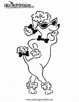 Poodle Pages Coloring Printable Colouring Hop Sock Pink French Dog Color Print Standard Kids Silhouette Template Drawing Animal Getcolorings Crafts sketch template