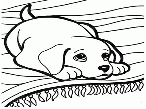 gambar  printable dog coloring pages kids find beautiful