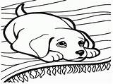 Coloring Dog Pages Dogs Easy Girls Print sketch template