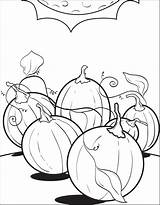 Coloring Pumpkin Patch Printable Kids Click sketch template