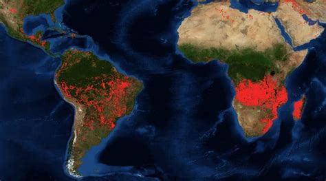 nasa s satellite images show forest fires in africa more intense than