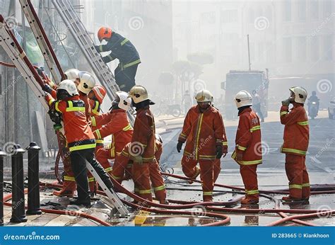 firemen royalty  stock photo image