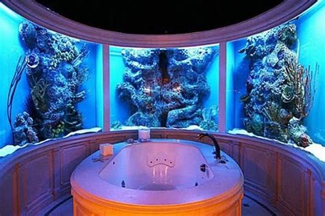 No Room For An Aquarium Think Again 20 Unusual Places In