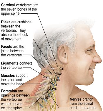neck  cervical spine beverly hills ca hannon orthopedics