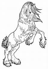 Horse Coloring Pages Realistic Printable Color Print Getcolorings Draft Colorings sketch template