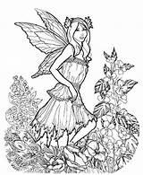 Coloring Pages Fairy Adults Celtic Adult Printable Detailed Intricate Colouring Fall Fairies Faerie Sheets Very Getcolorings Kids Color Popular Print sketch template