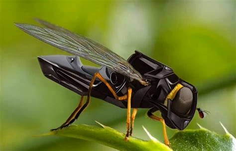 ee uu  israel apuestan por los insectos drone