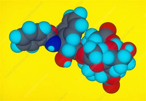 taxol stock image  science photo library