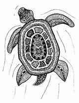 Zentangle Turtle Patterns Drawings Etsy Easy Print Zen Animals Tangle Sea Turtles Zentangles Visit Doodles Clipzine Choose Board sketch template