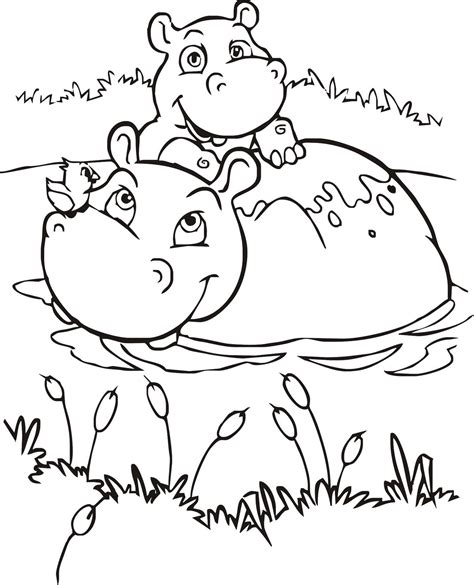 hipopotamo desenhos  colorir desenhos  colorir