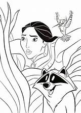 Pocahontas Coloring Disney Meeko Pages Flit Walt Fanpop Figuren Characters Sheets Printable Drawings Princess Drawing Choose Board sketch template
