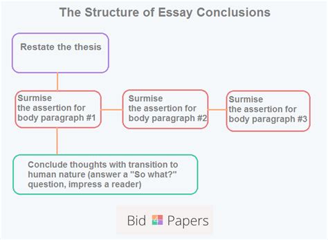 write  conclusion   essay guide  beginners
