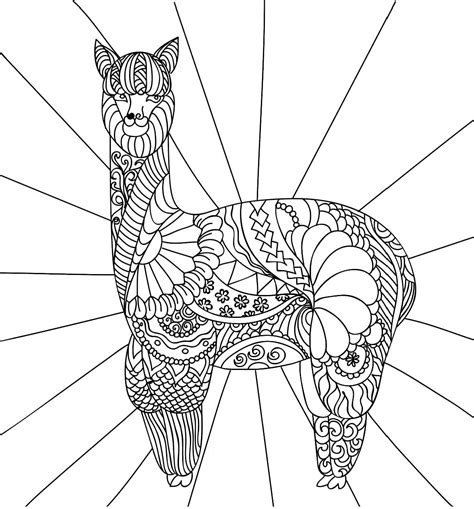llama coloring pages  printable coloring pages