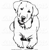 Labrador Dog Retriever Golden Clipart Drawing Coloring Pages Down Svg Chocolate Lab Cute Outline Drawings Vector Puppy Silhouette Tattoo Clip sketch template
