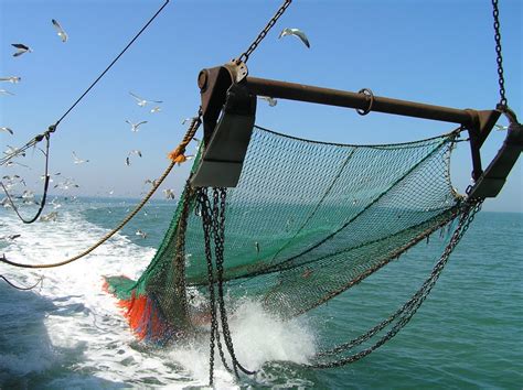 como hacer redes de pesca artesanal pesca informacion