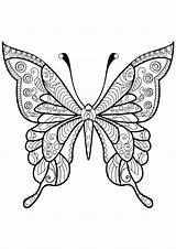 Coloring Butterflies Kids Pages Color Simple Coloriage Animals sketch template