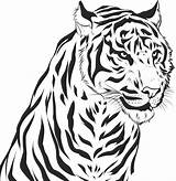 Tiger Tigre Coloring Realista Salvajes Aprender Tigres Dibuja Tegninger Dragoart Dessiner Tigers Nemme Thickness Sketch Practicarte sketch template
