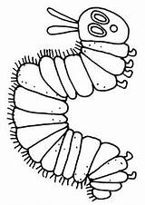 Caterpillar Carle Chenille Raupe Trous Nimmersatt Faisait Outline Didático Affamée Kindergarten Momjunction sketch template