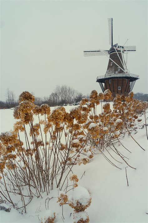 de zwaan windmill   snowy day  holland michigan february  hollandmi windmill