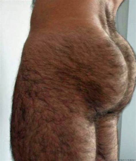14 best hairy ass images on pinterest hairy men