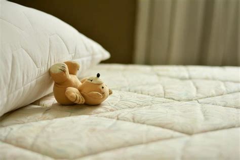 clean  mattress   steps  expert tips  havent heard
