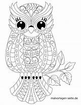 Malvorlage Mandalas Eule Ausmalen Tiermandala Ugle Til Tegninger Ausmalbild Mosaik Magische Gufo Dieren Eulen Tegning Kinderbilder Kleurplaten Erwachsene Vogel Mønster sketch template