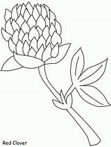 Clover Coloring Pages Red Flowers Flower Goldenrod Color Colouring Popular Other Draw Library Coloringpagebook Advertisement sketch template
