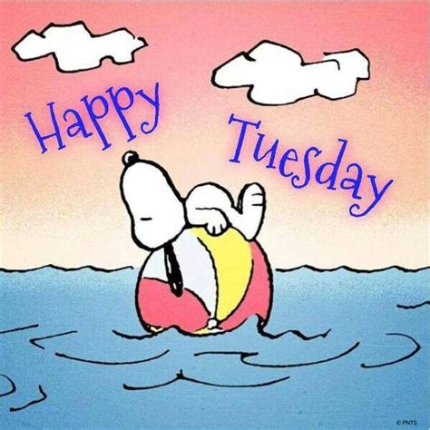 happy tuesday snoopy daily blessings   pinterest