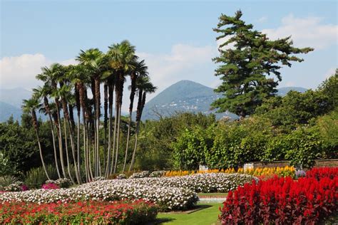 promo    garden  bloom italy hotel book sites