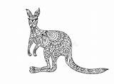 Kangaroo Canguro Zentangle Coloritura Mandala Sida sketch template