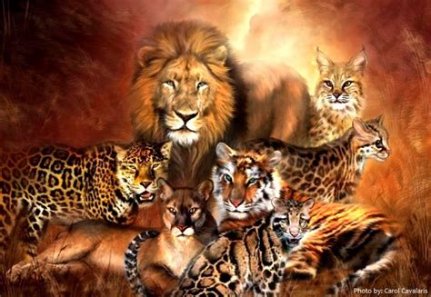 interesting facts  big cats  fun facts