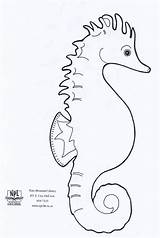 Seahorse Seahorses Kids Sea Horse Coloring Template Pages Drawing Sites Make Pattern Sample Craft Paint Crafts Patterns Fun sketch template