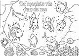 Zee Kleurplaten Kleurplaat Mooiste Oceaan Vierwindstreken Windstreken Vissen Zeepaardje Regenboog Volwassenen Hele Knutselen Octopus Downloaden Uitprinten Bezoeken Boek Rasane Colorir sketch template