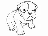 Coloring Boxer Dog Pages Pitbull Puppy Baby Cute Pug Puppies Drawing Drawings Dogs Pitbulls Kids Print Line Color Mood Printable sketch template