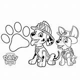 Coloring Patrol Paw Pages Tracker Marshall Badge Everest His sketch template