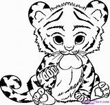 Coloring Cute Baby Animals Pages Popular Tiger sketch template