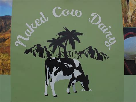 naked cow dairy reviving a buttery oahu tradition