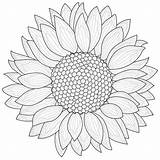 Sunflower Antistress sketch template