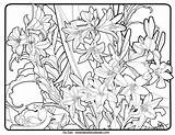 Coloring Pages Adults Printable Patterns Geometric Deco Mucha Pattern Adult Nouveau Color Alfons 775d Print Mandalas Flowers Getdrawings Getcolorings Hard sketch template
