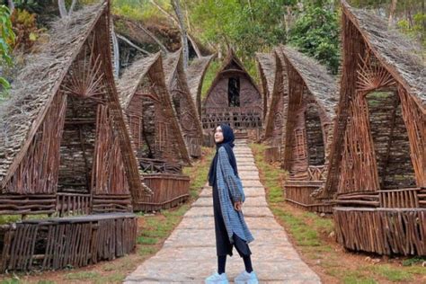 tempat wisata hutan pinus  yogyakarta