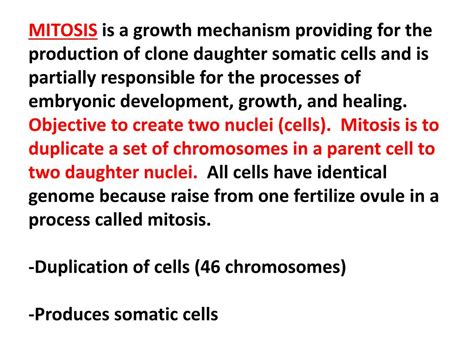 Ppt Mitotic Cell Division Exercise 7 Powerpoint Presentation Free