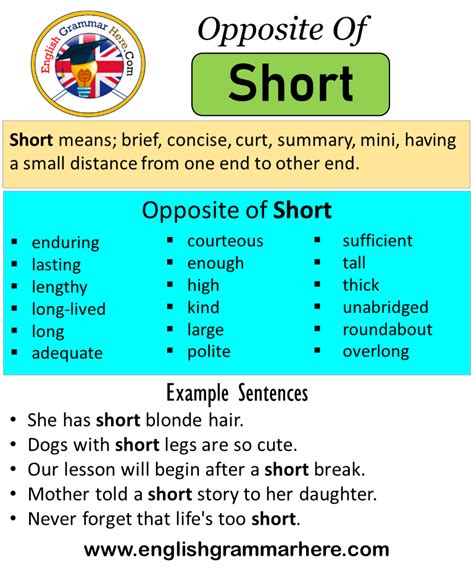 short antonyms  short meaning   sentences