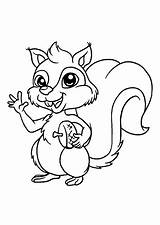 Squirrel Eekhoorn Eikel Topkleurplaat Squirrels sketch template