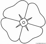 Anzac Poppy Coloring Poppies Pages Bigactivities sketch template