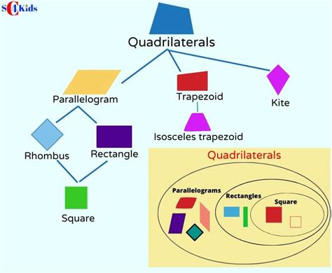 quadrilateral explained  pic  types  quadrilaterals