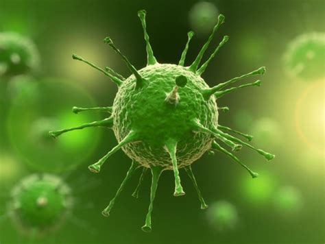 8 aspects to help you know the characteristics of viruses new health advisor
