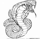 Snake Coloring Pages Realistic Kids Drawing Cobra Snakes Color Sheets Step Template Printable Print Life Getdrawings Getcolorings Highest sketch template