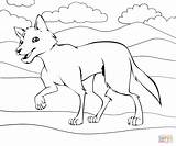Coloring Dingo Pages Funny Drawing Supercoloring sketch template