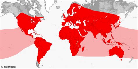 reptile taxonomy repfocus