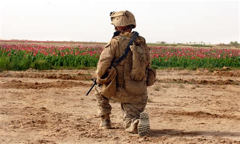 marines  sending  task force   afghanistans helmand